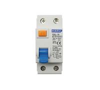 2P AC Type RCCB RCD ELCB Electromagnetic Residual Current Circuit Breaker 25A 40A 63A 80A 100A 30mA 100mA 300mA(20a,2P 100mA)