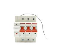 2P circuit breaker timer voice remote control fully automatic intelligent circuit breaker switch(50A)