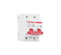 2P DC 12V 24V 48V 60V 110V Circuit Breaker Battery Protection Switch Positive and Negative Short 10A 20A 50A 100A(80a)