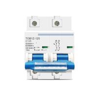 2P DC MCB 600V 125A 100A 80A Circuit Breaker C Curve Battery Main Switch 1Pcs(125A)