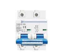 2P DC MCB 600V 125A 100A 80A Circuit breaker PV System C curve Battery Main Switch(80A)