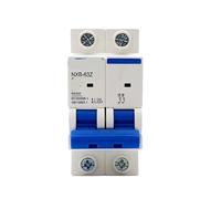 2p Mini Circuit Breaker NXB-63 1-63A MCB With Indication(16a)