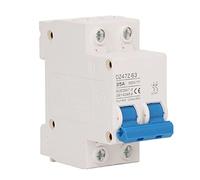 2P Mini DC Circuit Breaker 4kA Icu 6kV Uimp Fast Tripping Solar PV System Small Circuit Breaker DC500V High Performance Protection for Solar Power Marine Systems PA66 Durable (my brother)