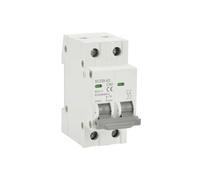 2P Solar DC 12V 24V 550V PV MCB Battery Car Protector Mini Circuit Breaker Short Overload Circuit Protector 20A 25A 32A 63A(2P 800V,6A)