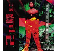 2Pac - Strictly 4 My N.I.G.G.A.Z... [VINYL]