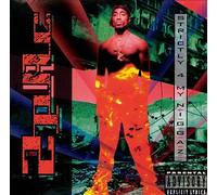 2Pac - Strictly 4 My N.I.G.G.A.Z... [VINYL]