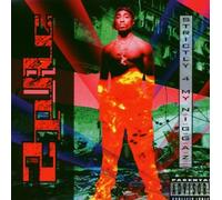 2Pac - Strictly 4 My Niggaz: Parental Advisory