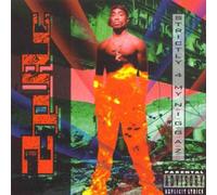 2Pac Strictly For My N.I.G.G.A.Z... 2LP in Black 2Pac Black