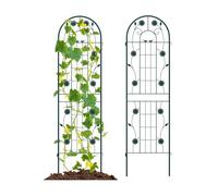2Pack 180cm x 50cm Metal Garden Trellis Plant Support Climbing Plants COSTWAY Green One Size