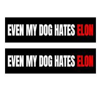 2Pack Anti Elon Car Decal Tesla Bumper Sticker I Bought This Before We Knew Elon was Crazy! Elon Sucks Tesla Model X Y 3 S Vinyl (Even My Dog Hates Elon)