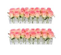 2Pack Clear Acrylic Flower Vase Rectangular, 15.7 Inches Long Floral Centerpiece Low Vases with Holes for Dinning Table, Home Decor, Wedding Decoration