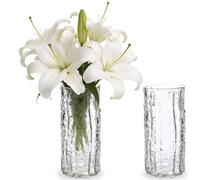2Pack Glass Vase,10inch Tall Crystal Flower Vase,Clear Glass Cylinder Posy | for Home Table Decor Wedding Centrepiece Dining and Living Rooms, Flower arrangement and floral display