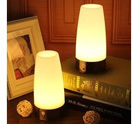 2pack Round Retro LED Night Light for Home,Small Lamp with Wireless PIR LED Motion Sensor Indoor/Outdoor,Battery Operated Lamp for Bedroom,Hallway,Kitchen…