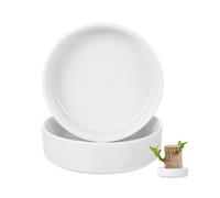 2Pc Brazilian Wood Potted Ceramic Tray Stand