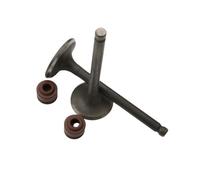2PC Intake And Exhaust Valves Compatible With 125cc 4-Stroke Scooter Fits Vanguard Virtuality 125 Bike