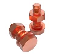 2pc M3 M4 M5 M6 M8 Red Copper Outer Hexagonal Electrolytic Bolt Flat Washer Spring Nut Combination Set(2set M5x25)