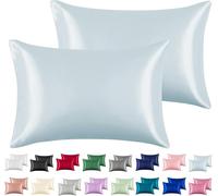 2pc New Queen/Standard Silky Satin Pillow Case Multiple Colors (Silver, Standard)