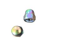 2pcs-10pcs M3 M4 M5 M6 M8 Stainless Steel with Rainbow Colourful Acorn Nut Hex Head Cap Metric Dome Nut(Rainbow Colour,M5 5pcs)