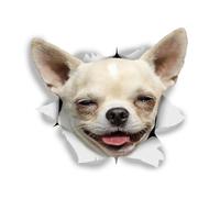 2pcs 13/15/17CM Personality PVC Decal Happy Chihuahua Car Sticker on Motorcycle Laptop Decorative Accessories(20 CM)