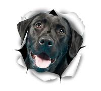 2pcs 13cm Black Labrador Car Sticker on Motorcycle Laptop Decorative(17 CM)