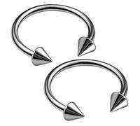2pcs 16g Circular Barbell Jewelry Titanium G23 Snake Bite Septum Cartilage Helix Ear Tragus Ring Lip Eyebrow B2BCU 12mm