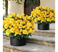 2Pcs 18"Artificial Rose Topiary Tree, Silk Flower Potted Plant(Yellow) | No Assembly Needed, UV Resistant, Lifelike Potted Plant, Fake Bushes, for Outdoor/Farmhouse/Garden/Spring/Summer Decor