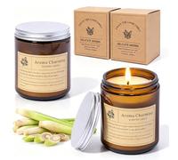 2PCS 200ML Citronella Candle Outdoor 100% Natural Soy Wax Scented Candles