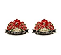2Pcs 2025 Red Poppy Flower Badges We Will Remember Them Remembrance Day Brooch Veteran Soldier Memorabilia