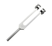 2Pcs 256Hz, Stainless Steel Tuning Forks Tone Tool for Musical Instruments Acoustic Experiments Hearing Testing Bone Conduction Tests Violin Guitar Tuner Device