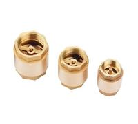 2Pcs/5Pcs 1/2'' 3/4" 1" Brass Female Thread in-Line Spring Vertical Lift Check Valve DN15/DN20/DN25 One-Way Non- for Water(1/2 inch,2Pcs)