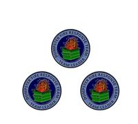 2Pcs/5Pcs Dumpster Fire Enamel Pins Response Team Alloy Badges for Jackets Hilarious Gifts for Coworkers Team Members, L, Alloy Steel, no gemstone