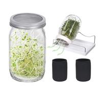 2pcs 950ml Sprouting Jar Kit - Indoor Seeds Sprouter Set For Growing Organic Broccoli Alfalfa Beans | Kitchen Accessories For Seed Sprouting | Easy Glass Jars D