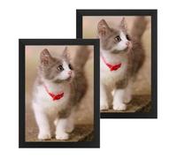 2pcs A4 Wooden Grain Picture Frame - Free-Standing and Wall Hanging Poster Frame for Wall or Desk Display in Home and Office (Black)