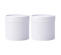 2PCS Adorable Flower Holding Pails Stylish Shade Gift Wrapping Boxes for Festival Celebration and Individualized Creation Blossomy Arrangement Container