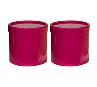 2PCS Adorable Flower Holding Pails Stylish Shade Gift Wrapping Boxes for Festival Celebration and Individualized Creation Blossomy Arrangement Container