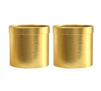 2PCS Adorable Flower Holding Pails Stylish Shade Gift Wrapping Boxes for Festival Celebration and Individualized Creation Stylish Flower Packaging