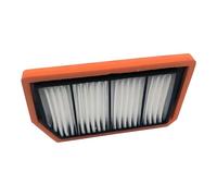 2PCS Air Filter For AODES ODES 650 800 850 1000 21170101731 Filtrations