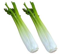2pcs Artificial Celery Model Realistic Celery Vegetables Simulation Pu Celery Props for Home Kitchen Party Decor