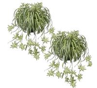2PCS Artificial Spider Plants in Pots Indoor 50cm Faux Spider Plants Indoor