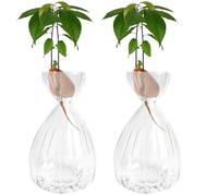 2Pcs Avocado Seed Sprout Starter Vase, Striped Style Avocado Tree Growing Glass Vases, Glass Bulb Vase for Home Table Desk Indoor Decor (2 Clear)