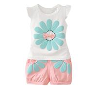 2PCS Baby Girls Clothes Set Toddler Kids Cartoon Daisy T-Shirt Tank Tops+Short Floral Shorts Pants Tracksuit Outfits Set Children Cute Soft Clothing Set for 1-4 Years Old (Pink, 12-18 Months)