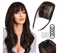 2Pcs Bangs Hair Clip in Extensions, French Hair Bangs Fringe Hair Extension One Piece Clip on Front Bangs Hairpiece Forehead Topper, Clip in Fringe Wigs Synthetic for Girls Women, Fashion Dark Brown