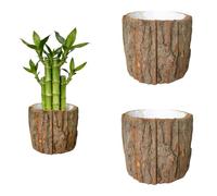 2Pcs Bark Planter Pot, Waterproof Rustic Wood Bark Flower, Natural Log Succulent Plant Pots, Suiable for Indoor Small Plants Holder, Home Garden Decor (Brown_A)