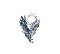2pcs Big Arm Eagle Juice Tattoo Sticker, Semi-permanent Tattoo, Realistic Fake Tattoos, Lasts 7-15 Days, Waterproof Non-reflective