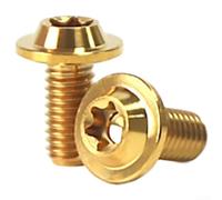 2Pcs Bike Water Bottle Cage Bolts M5x10mm Ultralight Ti Alloy Truss Head Screws Rust Resistant Suitable for Various Bicycles (Golden)