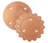2Pcs Bird Bath Copper Disk - 1mm Thick 99.9% Pure Copper Purification Disc, 100mm Universal Self-Cleaning Water Cleaner for Outdoor Birdbaths, Fountains & Bowls All Season(Style B)