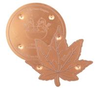 2Pcs Bird Bath Copper Disk - 1mm Thick 99.9% Pure Copper Purification Disc, 100mm Universal Self-Cleaning Water Cleaner for Outdoor Birdbaths, Fountains & Bowls All Season(Style C)