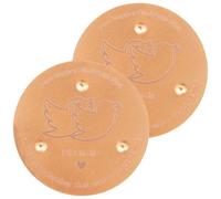 2Pcs Bird Bath Copper Disk 99.99% Pure Copper Disc for Bird Bath Keeps Water Fresh Outside Birdbath Purification Disks for BirdBath Outdoor Cleaning Disk Safe Natural Solution