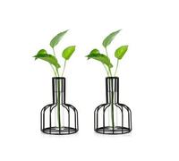 2Pcs Black Flower Vase with Metal Frame, Test Tube, Plants, for Flowers, Wedding, Party, Garden, Home Decoration (Black)