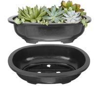 2Pcs Bonsai Training Pots 12x9x3.5 Inch Reusable Large Oval Gardening Bonsai Planter Pot with Drainage Hole for Garden, Yard, Balcony, Office, Living Room, Training Pots